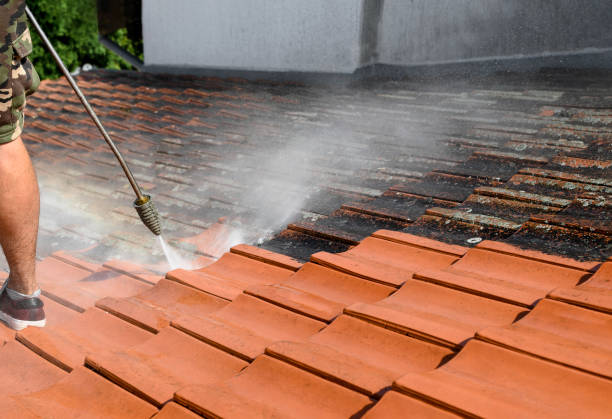 Best Roof Pressure Washing  in Kaufman, TX