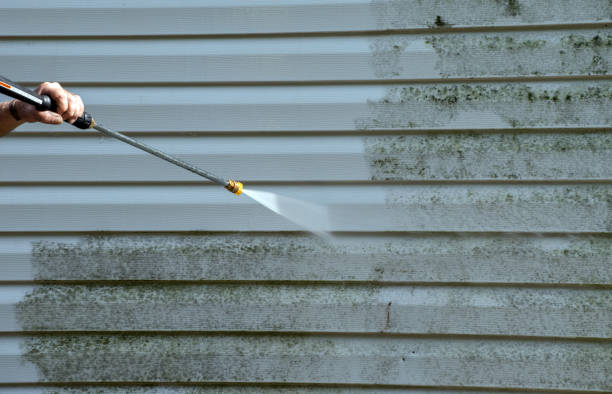 Best Deck Cleaning Services  in Kaufman, TX